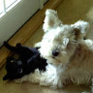 Meet your Posher, Alana